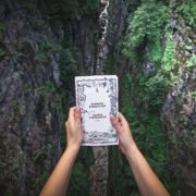 Demon Copperhead | Barbara Kingsolver